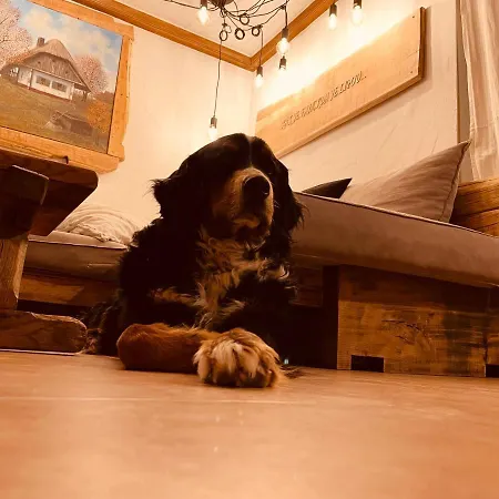 بيت للعطل Wellness House Lagev