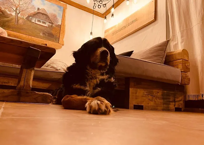 Casa de Férias Wellness House Lagev